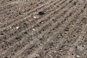 Kuxmann Kurier fertiliser spreader applied UREA on a field